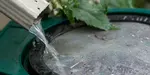 rainwater collecting