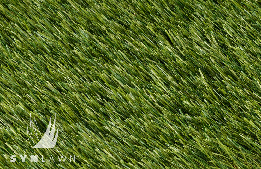 synlawn augustine