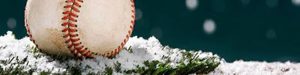 artificial grass in winter