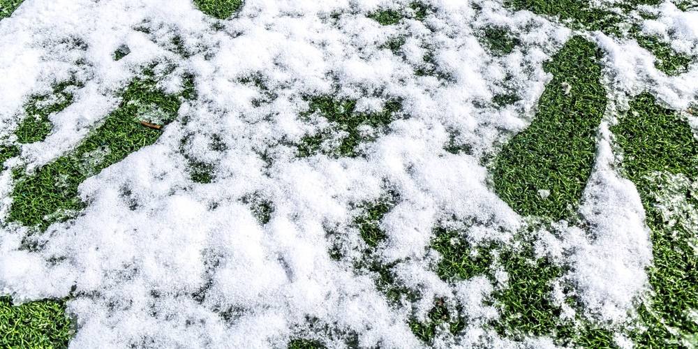 Artificial Grass Winter Care Snow, Frost and Freezing Temperatures