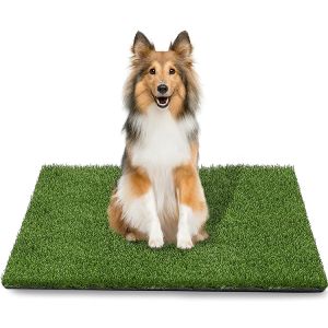 artificial grass dog potty