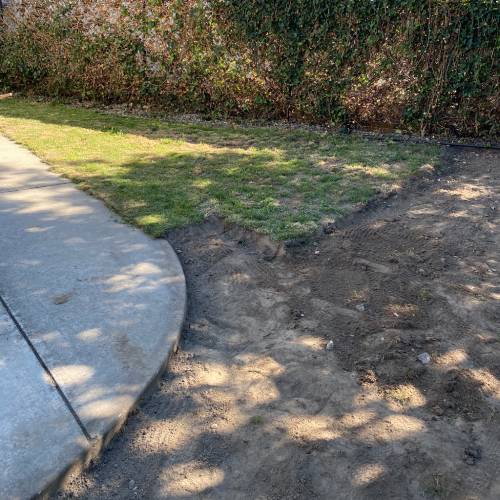 Artificial Grass for Dogs Installation DIY Step by Step Guidelines