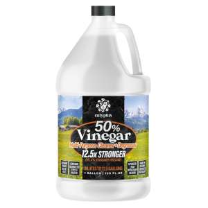 calyptus pure vinegar