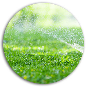 Enzyme Cleaner enzyme cleaner