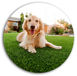 Bacteria Prevention bacteria prevention