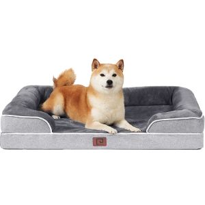 dog bed
