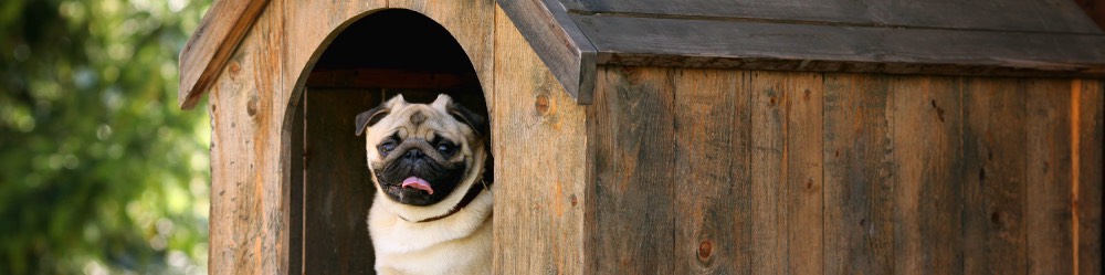 Dogscaping Shelter dogscaping shelter