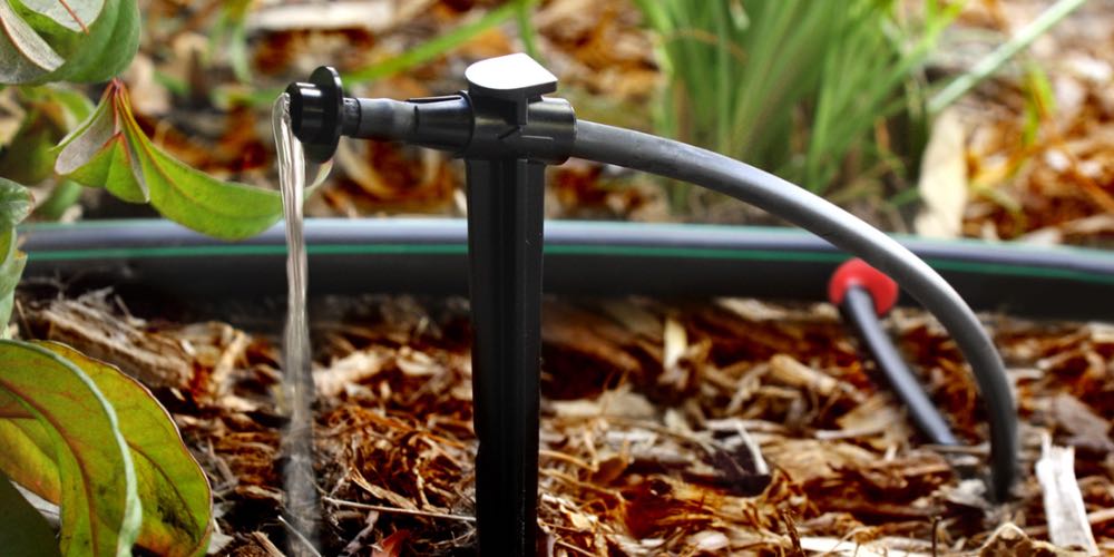 putting in drip irrigation