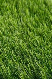 Artificial Grass artificial grass