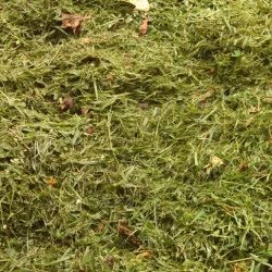 grass clippings as mulch grass clippings as mulch