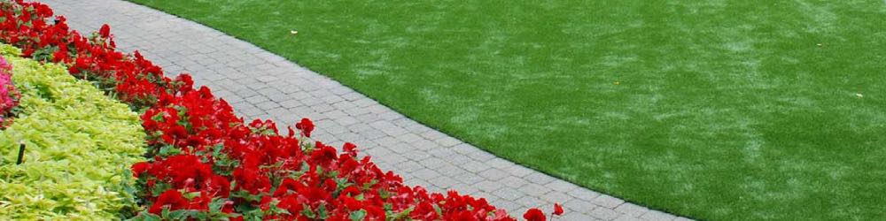 Drip Irrigation Cost drip irrigation cost