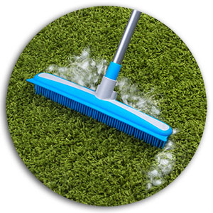 Pet Hair Removal pet hair removal