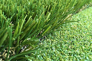 putting green maintenance