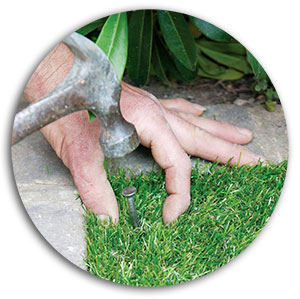 Inspect and Repair inspect and repair