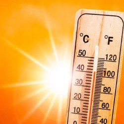 intense sunlight on artificial grass