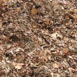 Leaf Mulch leaf mulch
