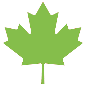 artificial grass canada