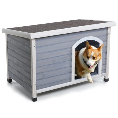 medium dog houses