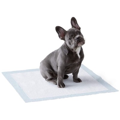 dog pee pad