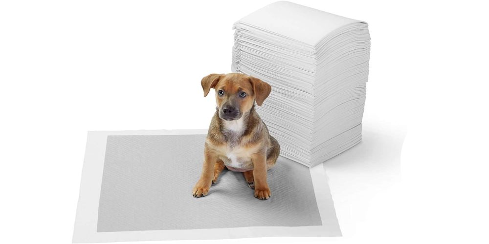 5 Best Dog Pee Pads  Washable and Reusable Potty Training