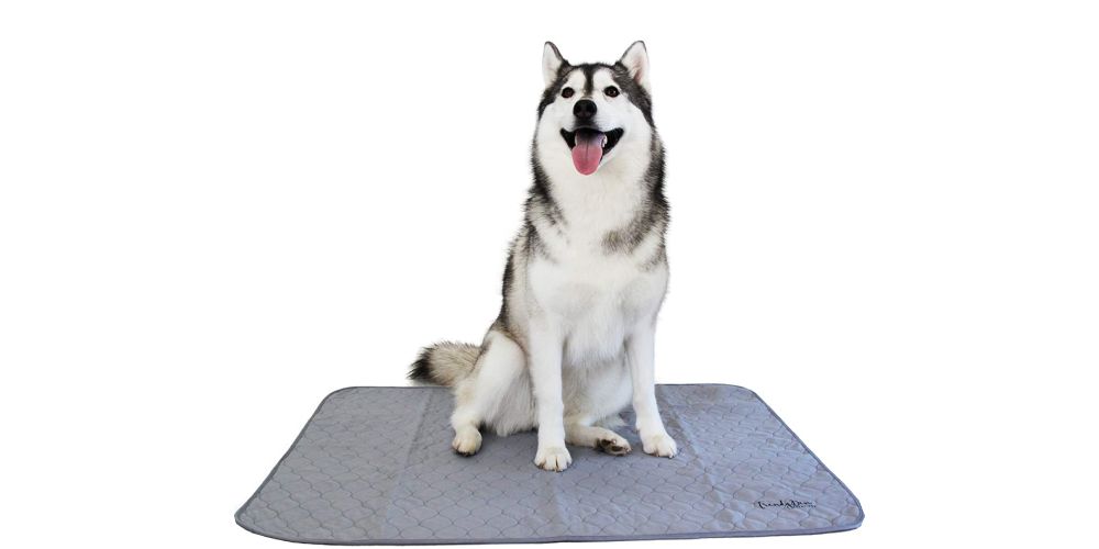 trendy den washable large dog pee pads