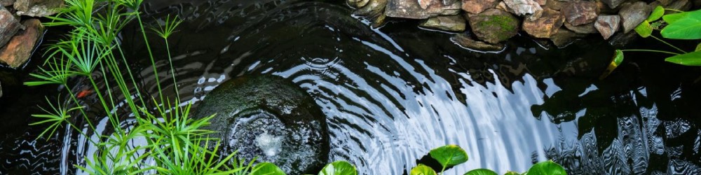 Dogscaping Water Feature dogscaping water feature