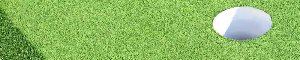artificial grass putting green cost