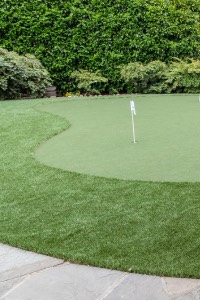 Putting Green putting green