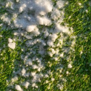 snow on artificial grass