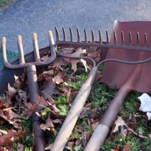 sharp objects on artificial grass