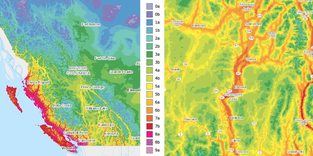 Plant Hardiness Zones in Canada Explained BC, Okanagan, Kelowna