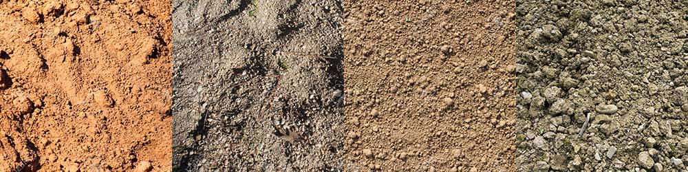 Xeriscape Soil xeriscape soil